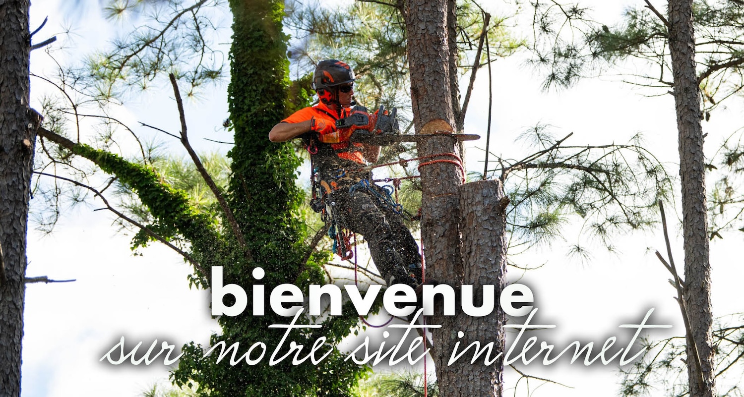 vernay-motoculture.2026.10.01-bienvenue-mobile